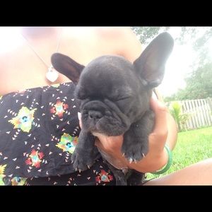 Meet your Posher, Cedric